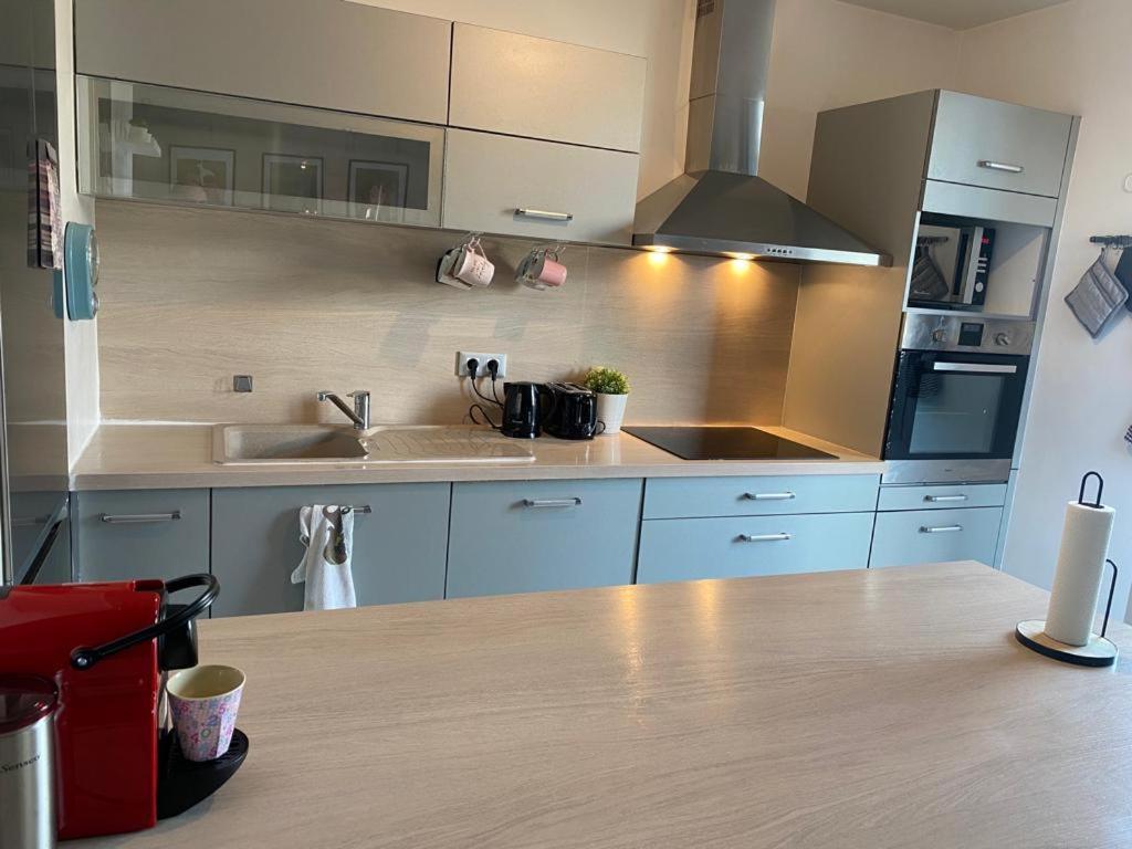 Appartement 80M2, Terrasse Sud, Metro 7 Direction Louvre A 8Minutes, Parking Sous-Sol, Proche Paris-Bercy Ivry-sur-Seine Exteriér fotografie